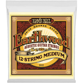 Ernie Ball 2012 Earthwood 80/20 12-Stringed Medium